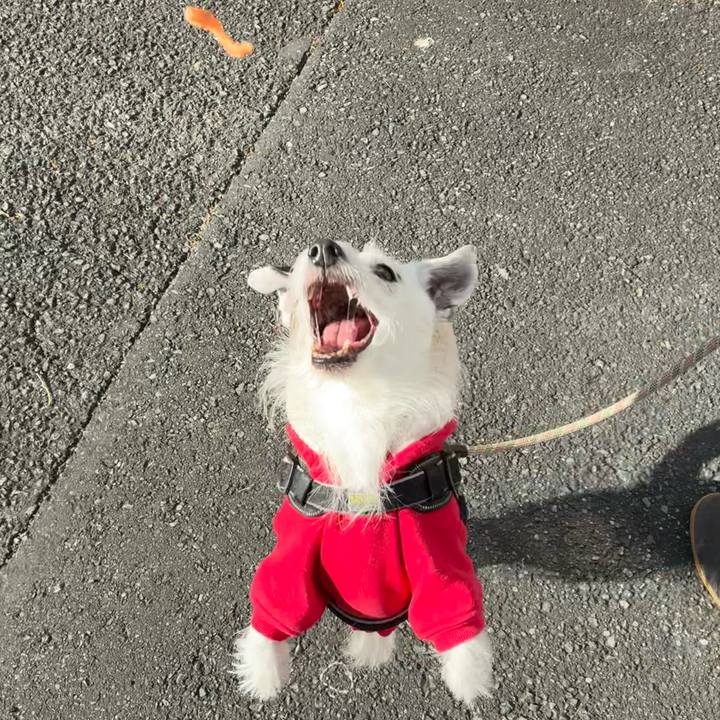 E7f81d26 befa 4d83 ab05 69fe1a56b1c9 1765328446481