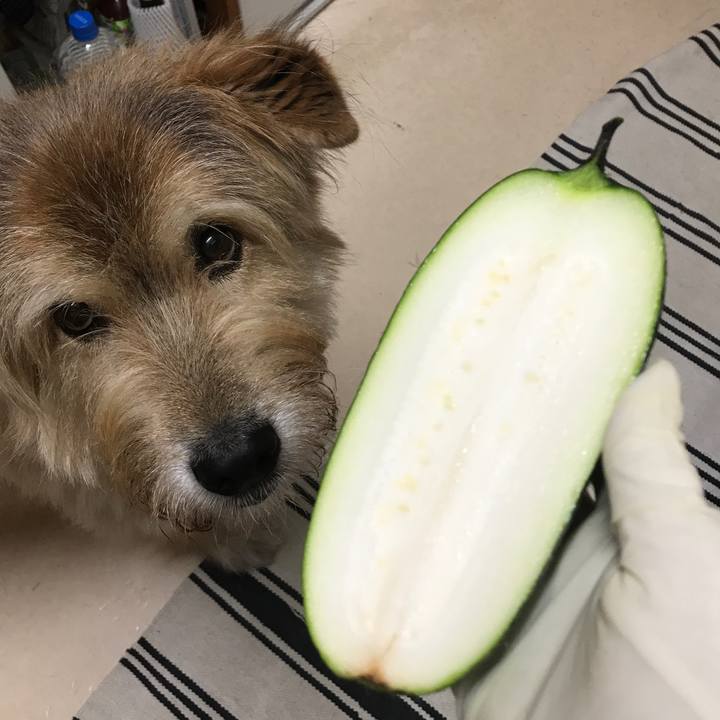 E7f84d18 092f 4e92 9a4a 7192920ff8ae 1632574097691