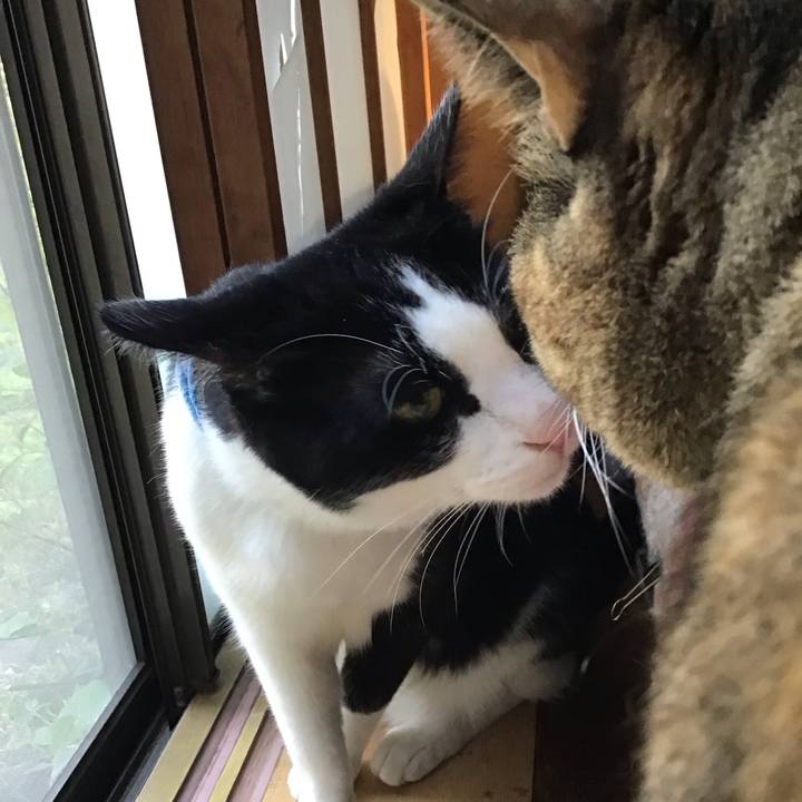 E7f892f5 f58f 4540 9d76 18cc201f1a5a 1681987005158