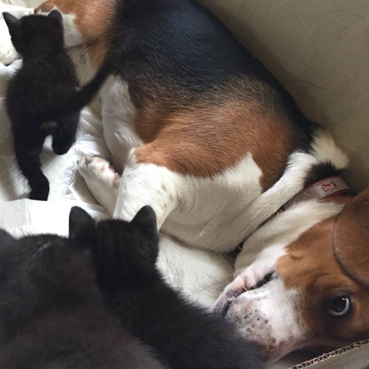 E7f8c103 2152 4eff 91cd 9e6b1c03ce30 1525052281714