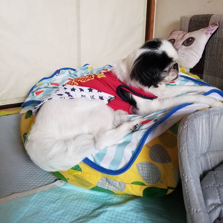 E7f8cee5 1945 4114 b29e 47d49d21184d 1627511706787