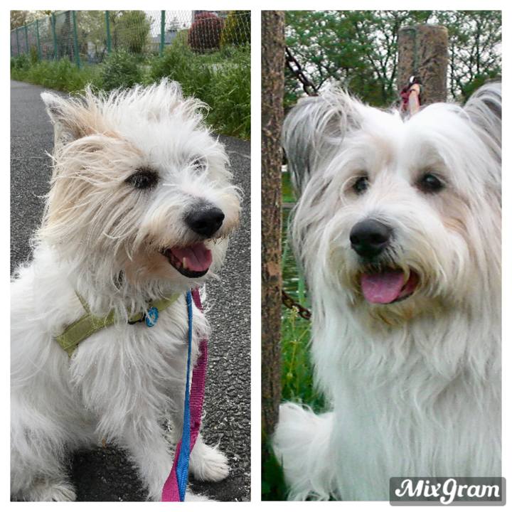 E7f8d1f0 0d93 4751 8859 d978ed7666b6 1587979059607