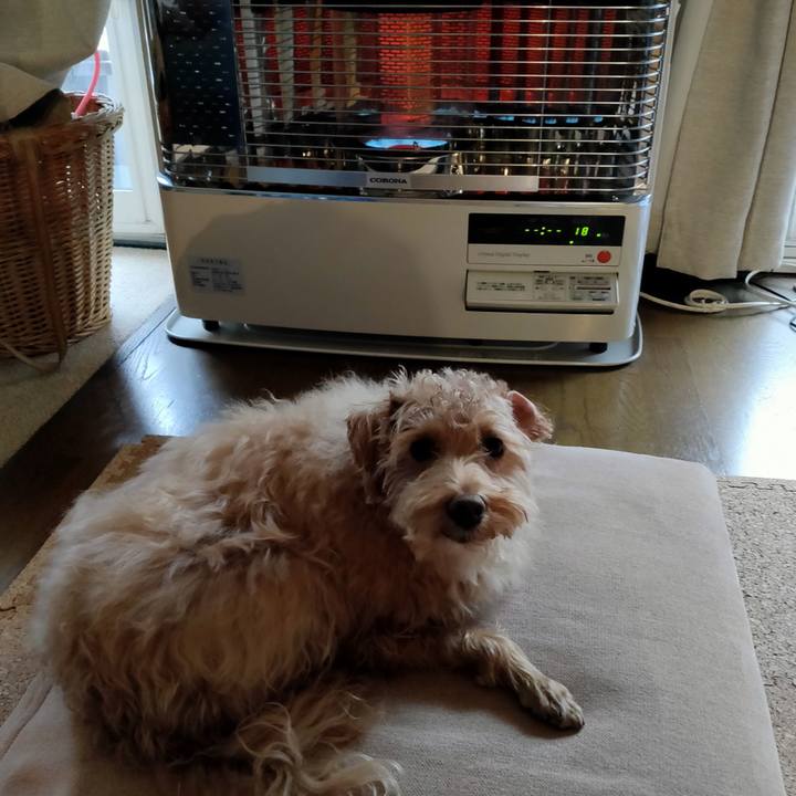 E7f8f314 a5bb 474b 8495 c6f639f4412e 1607469021699