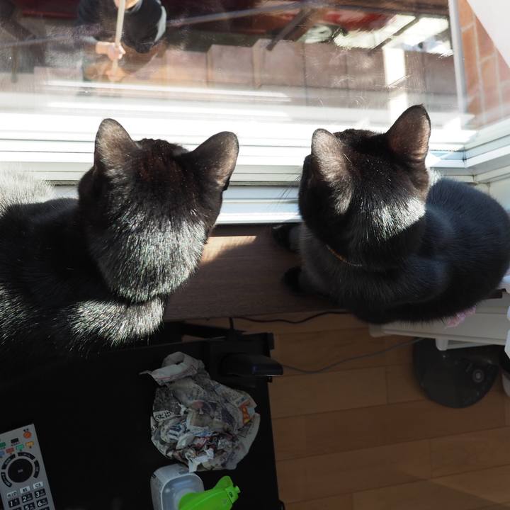 E7f9125b 2906 4064 ba5b 34e0f4a45c2c 1545975965399