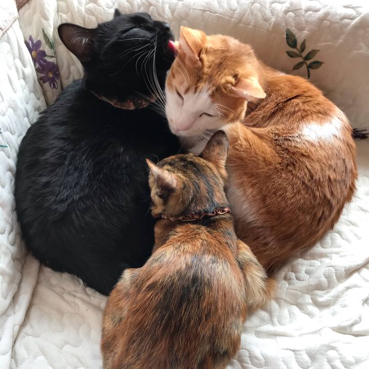 E7f95e2e e9a6 44f1 8cc8 07638cf801fa 1609039651608