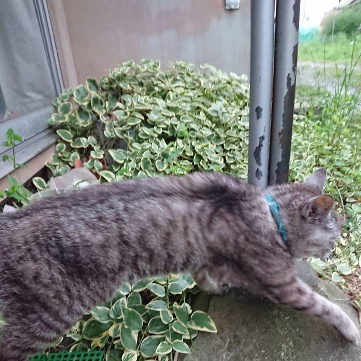 E7f9d0a2 d4fb 41d3 bdc2 f65eadaf1840 1567155788347