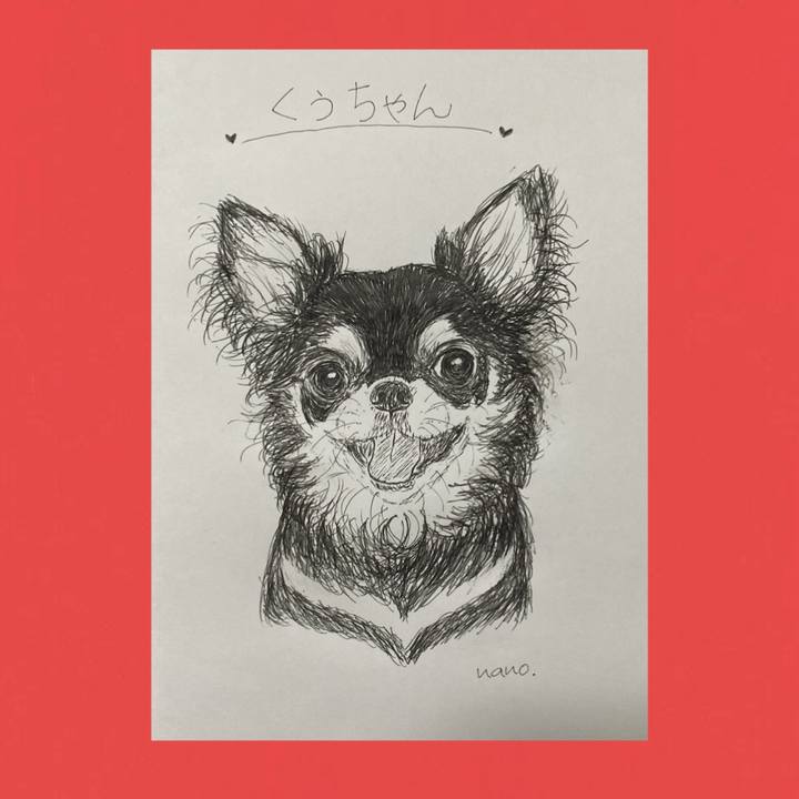 E7f9d915 b805 47e8 8fcc 6ea4c27b96f7 1655701009378