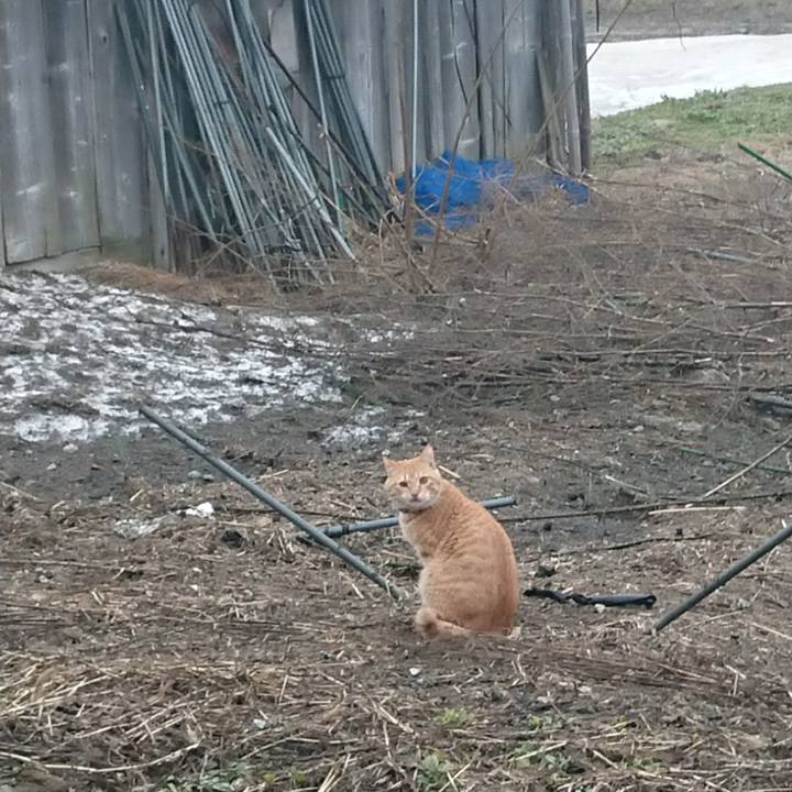 E7f9ee90 cd27 4b84 a372 2e9dff149367 1649195537950