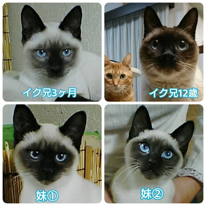 E7f9fc63 d4e6 4011 ad88 e6f22833221d 1547981602591