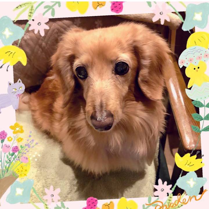 E7fa0259 2661 4f8d 85ac 82033a889543 1685338614417