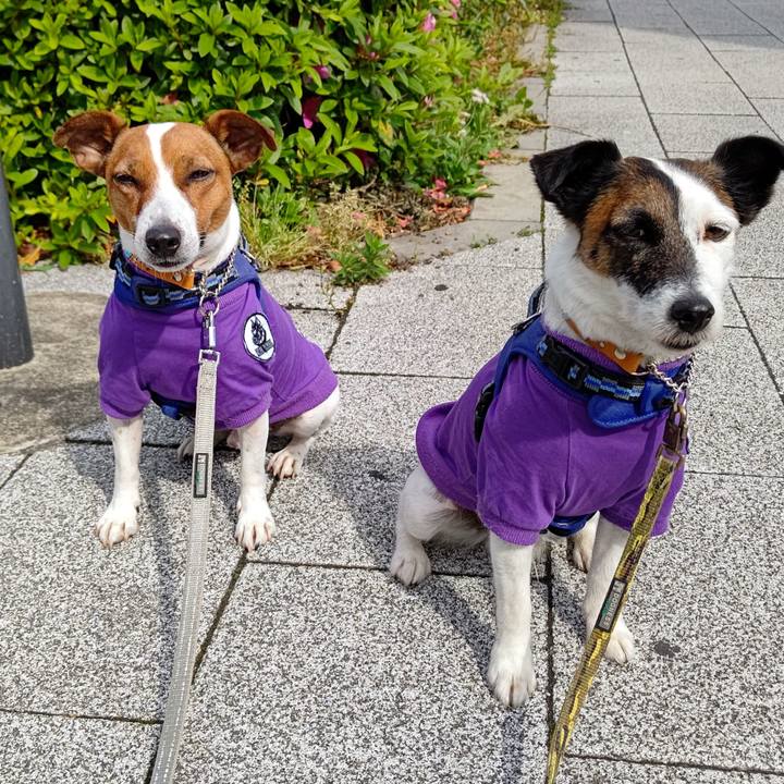 E7fa0ee6 2e9f 4794 94c0 02ef6b9f253b 1619998807648