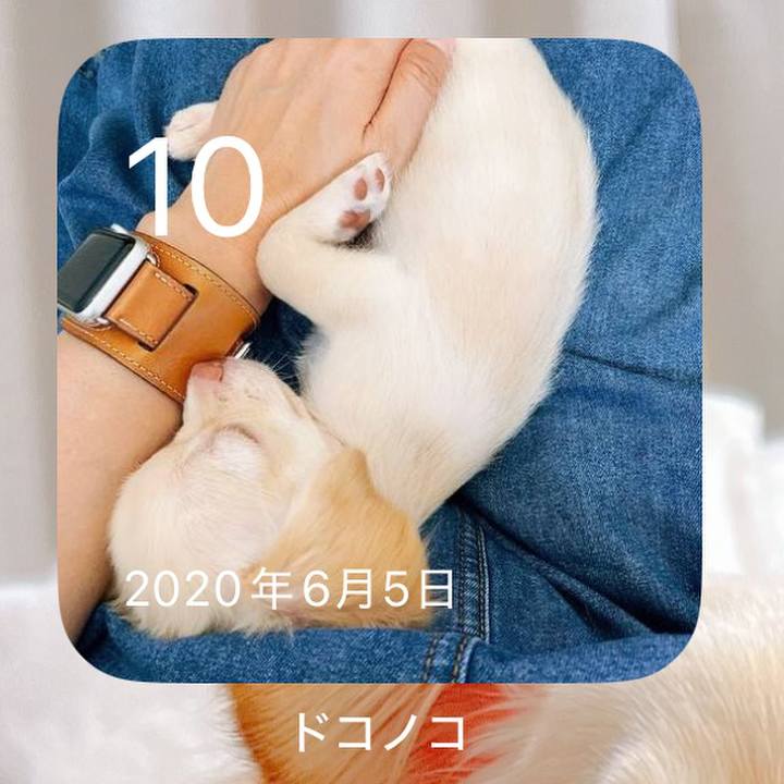 E7fa1fa5 8c4b 4524 8cc4 336da0c04b47 1749561989672