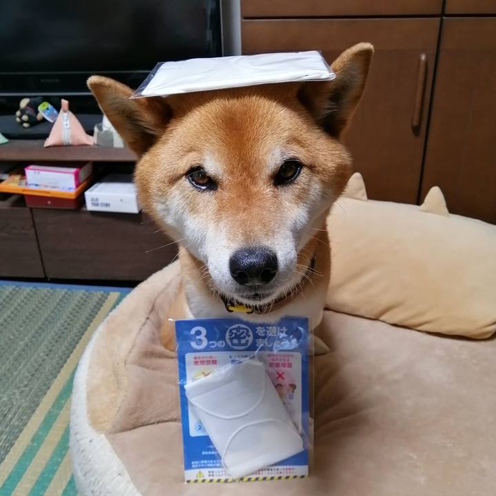 E7fa3a41 0e7e 40e2 a21c 40e0a6de3007 1589542784700