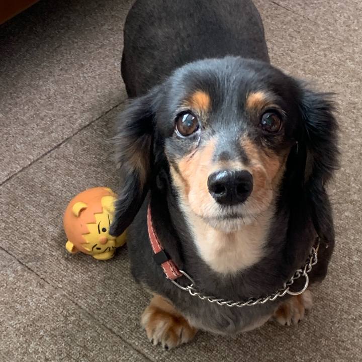 E7fa4c9f 8cd1 4d01 9a29 3641802ef8b6 1571525808376