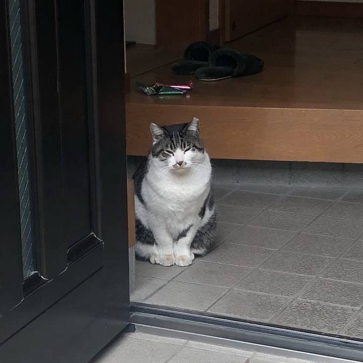 E7fa5654 d46f 4159 8170 40ca945a263c 1519272492279