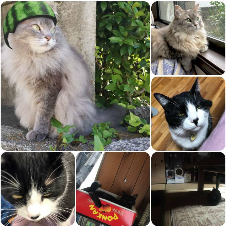 E7fa6fa7 1306 4de2 8353 096a0a47118e 1563359684113