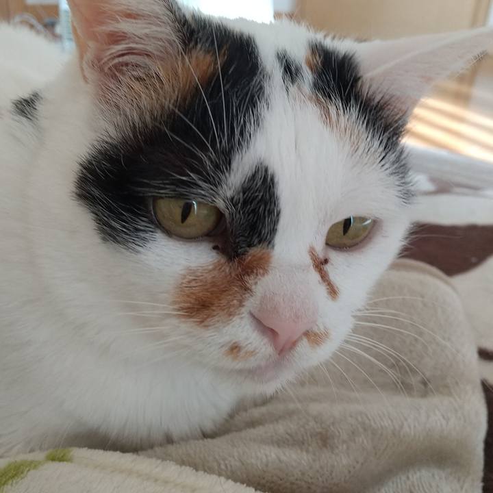 E7fa88d5 a262 4b98 a999 f9f585e581b0 1605137213604