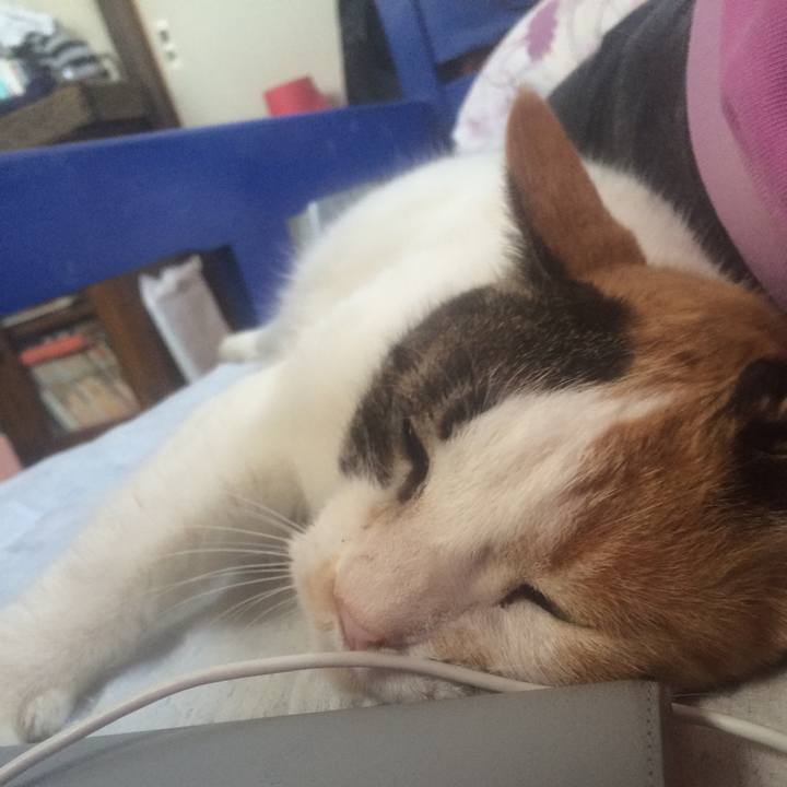 E7fa9323 2853 4125 a92f 94d241d99819 1555569603567