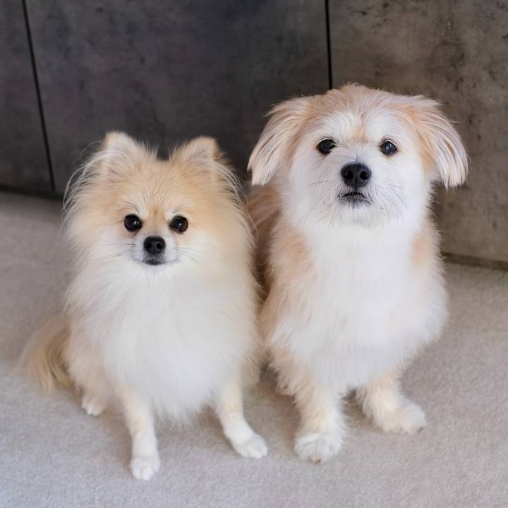 E7faeaff aa38 466c 9fef a0ceeb1367f7 1757627550025