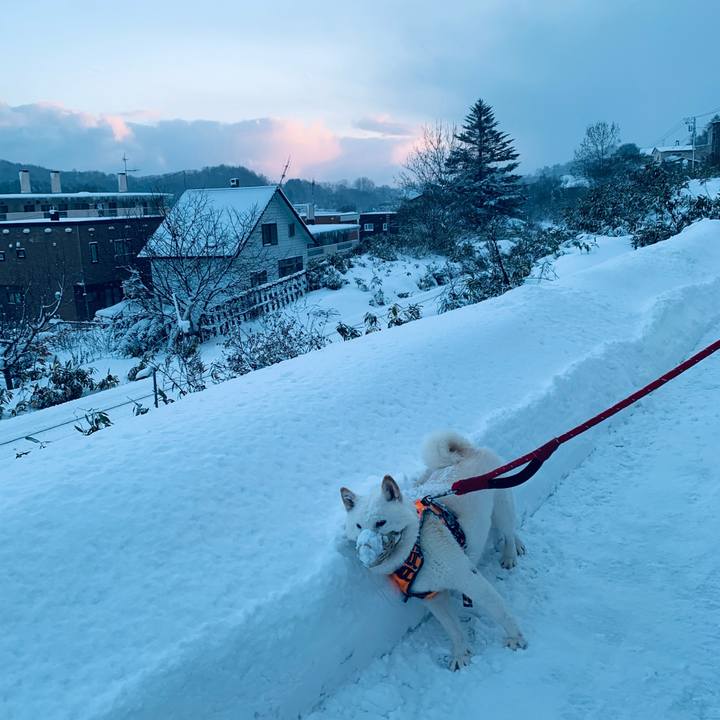 E7faf794 fb10 4dc1 b751 4ab82886a346 1671143807553