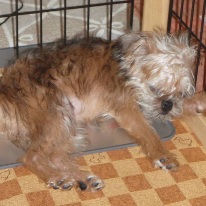 E7fb1efb e270 4cdc b135 9c9ca9f479d6 1623468585489