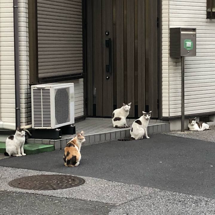 E7fb5541 cd96 4a48 923d 80414fe8bb77 1528384104905