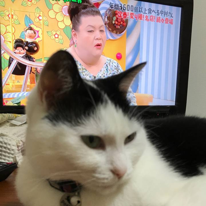 E7fb71fc a0b4 4a28 9337 b788597f6229 1524572171703