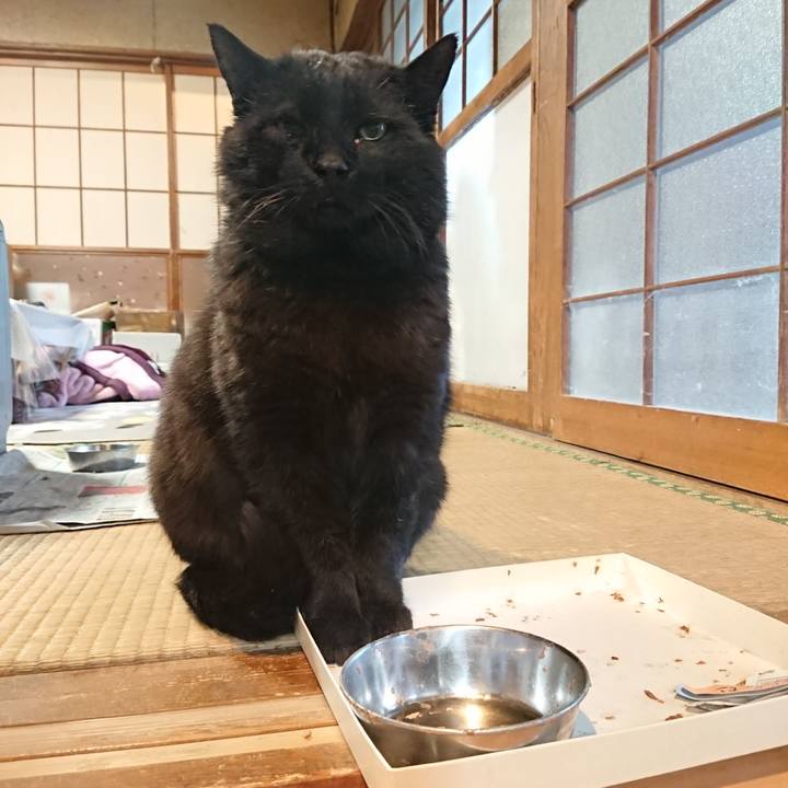 E7fb72bc 4f33 4447 bd5c ed22eb73566a 1619341905809