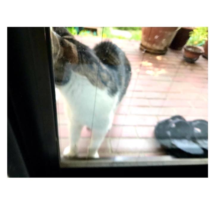 E7fb89be e889 48c6 b312 8726f97ae105 1666674817947