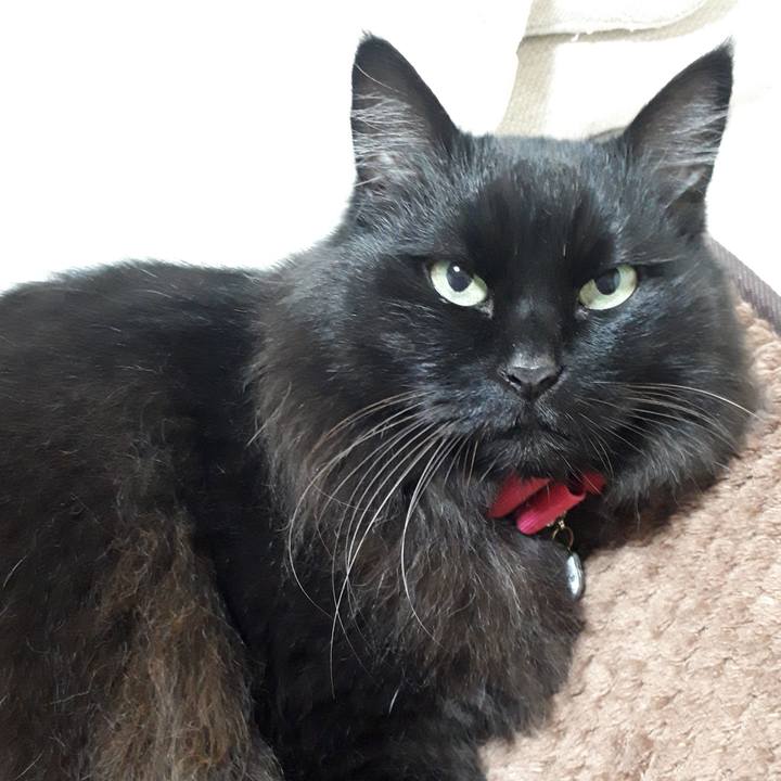 E7fb995c 8337 4b3c b66e 106666c5fdc3 1519588400633