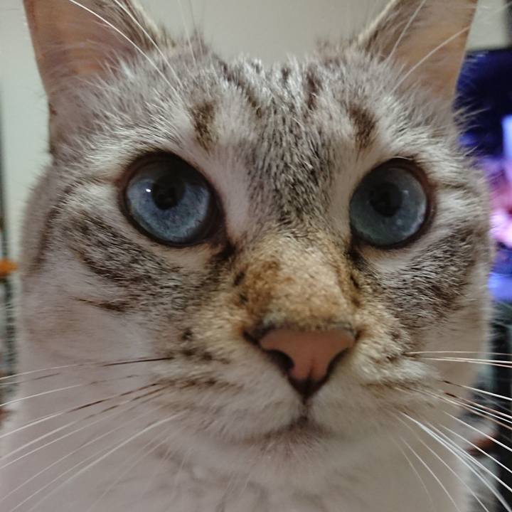 E7fbc64a d35a 4933 b70b 8e569fc5cf4c 1605955415900