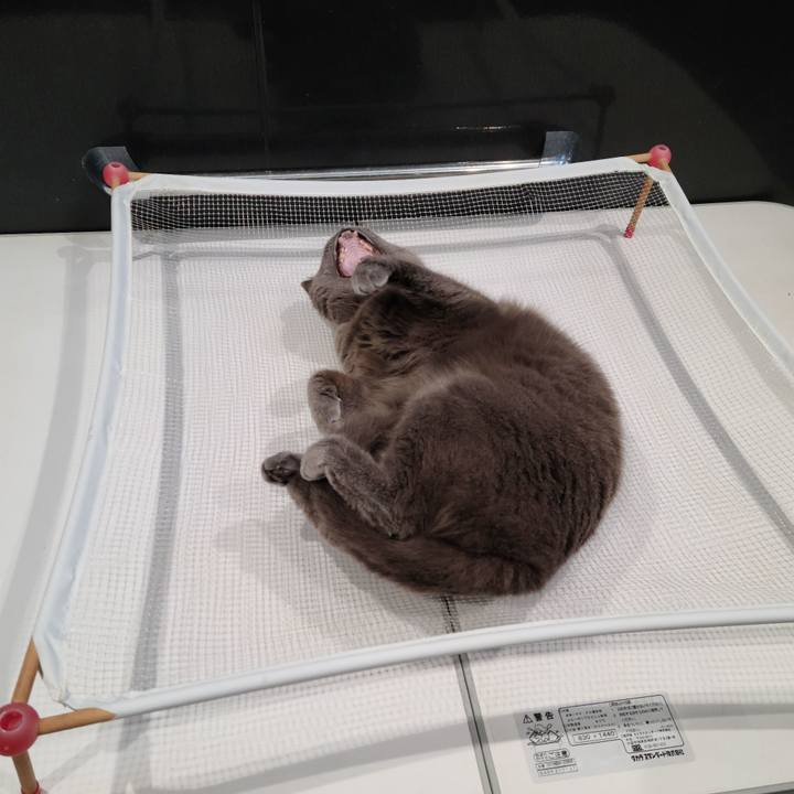 E7fbe5df c722 4806 83b9 5ed585dea3f7 1620894329813