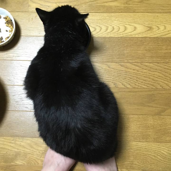 E7fbebd0 2b62 4433 b95d ffe3a18c456a 1542885607830