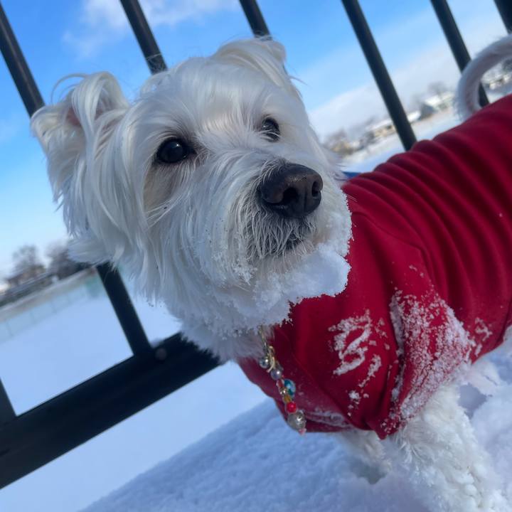 E7fc1090 a45a 41d4 9646 3777257992c7 1769134992512