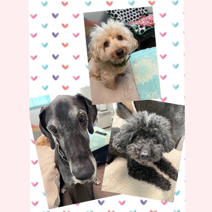 E7fc1ce5 5765 42d0 a130 7fe8417ba117 1623106851432