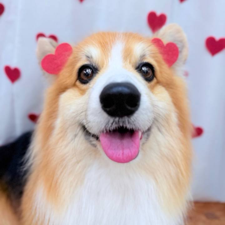 E7fc24bb c27e 4b41 b3a8 9a39cb61cf17 1771891616640