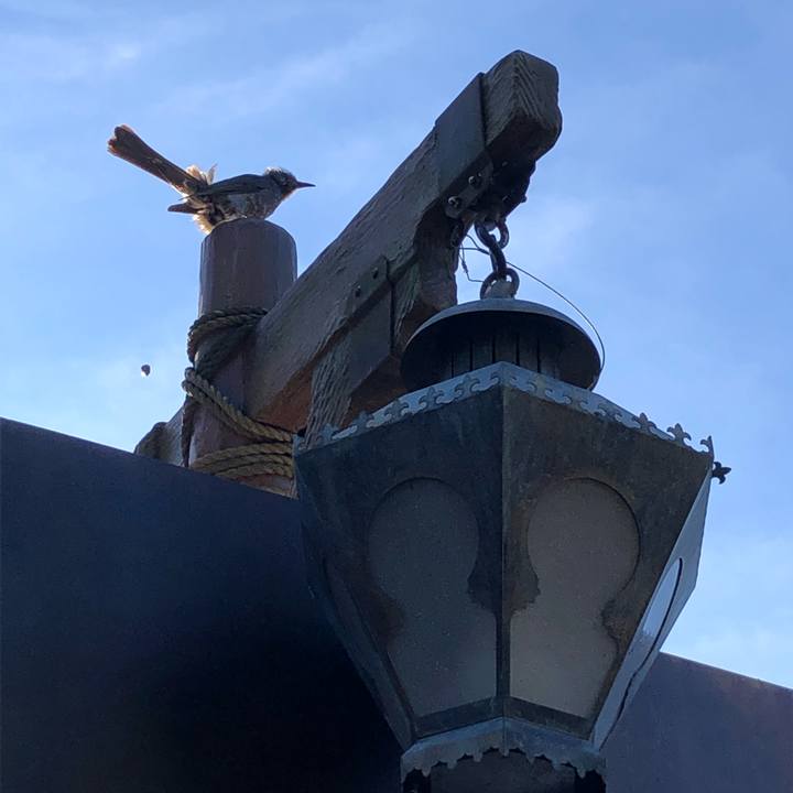 E7fc47d8 6e30 45d3 9ea0 ae64bc34d8de 1626436362858