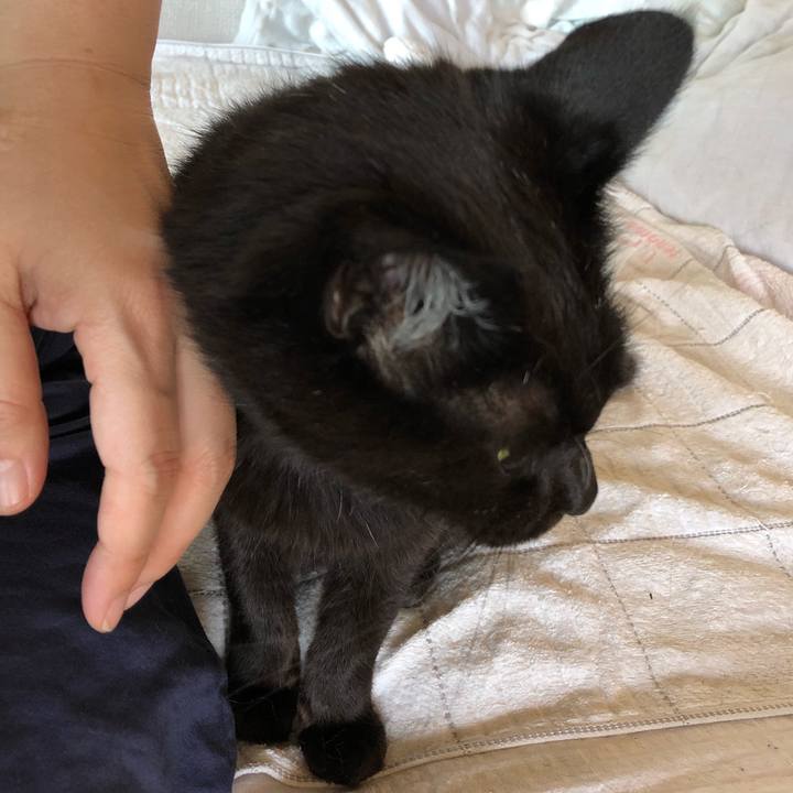 E7fc4adc 670a 48ad 81bc fbfe8461638e 1597137097361