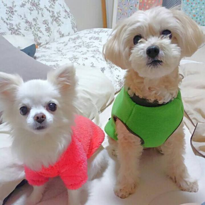 E7fc75d1 6389 427d b544 1c26f9975e46 1551532414241