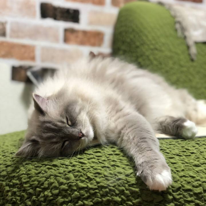 E7fcd24a c499 4977 a611 93dcaa3c8196 1542953639055