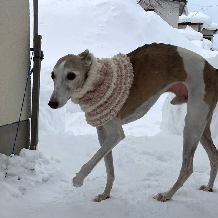 E7fcd2ab 18b9 4025 aa4c 53f520809b86 1769503502377