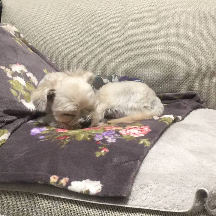 E7fcdea6 0b98 4926 a9bf f762494edb48 1510749283068