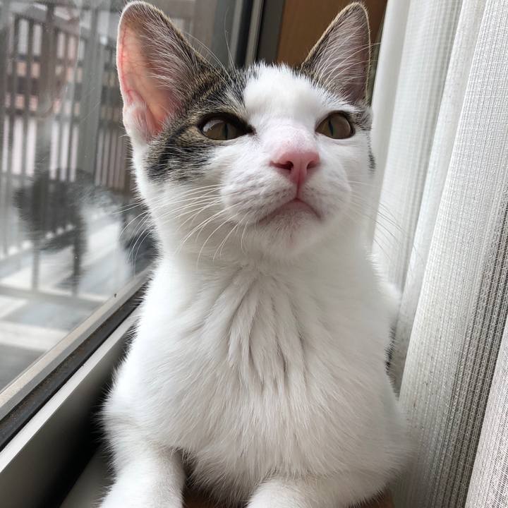 E7fcf283 6238 4183 ac1a cb0a721478cc 1569916177783