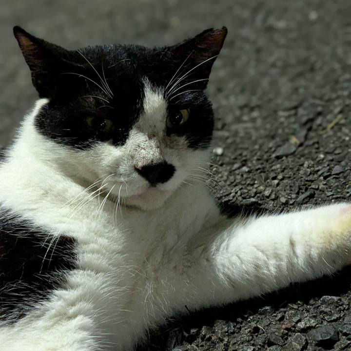 E7fd0db4 570d 4a6b 877c c316058576c1 1757861169958