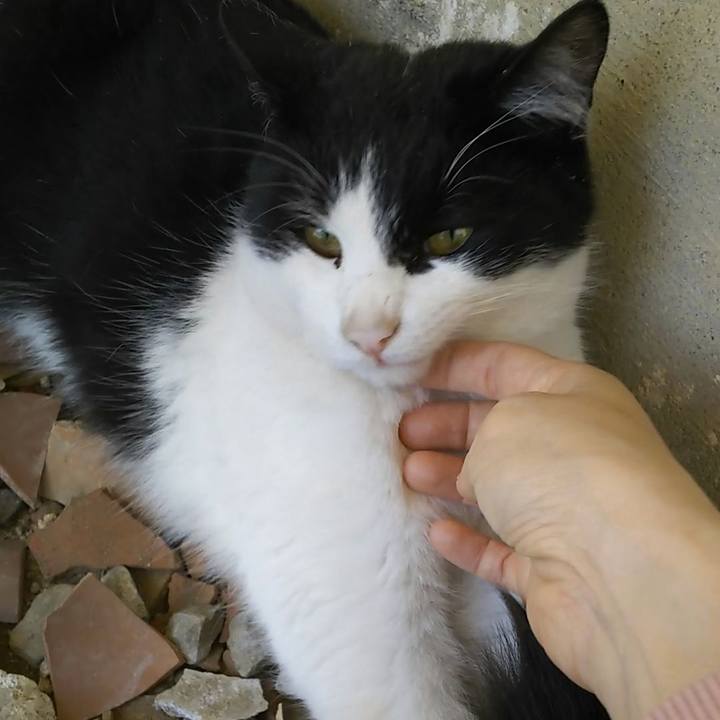 E7fd2704 54f2 4c0f 9f43 8621a6f4f5ec 1557285859864