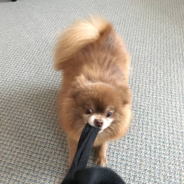 E7fd8825 4187 4bfe b306 97f2e230368f 1518573675324