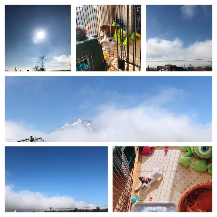 E7fd89e5 3513 4635 8d30 76602874ae56 1511832102753