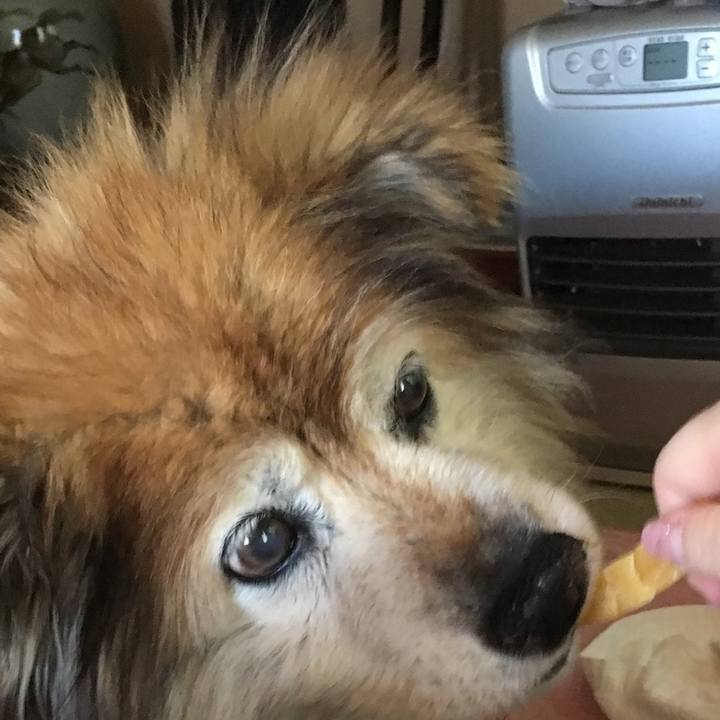 E7fdd5b9 eca8 4b2e bdca 887b49038e43 1606976180636