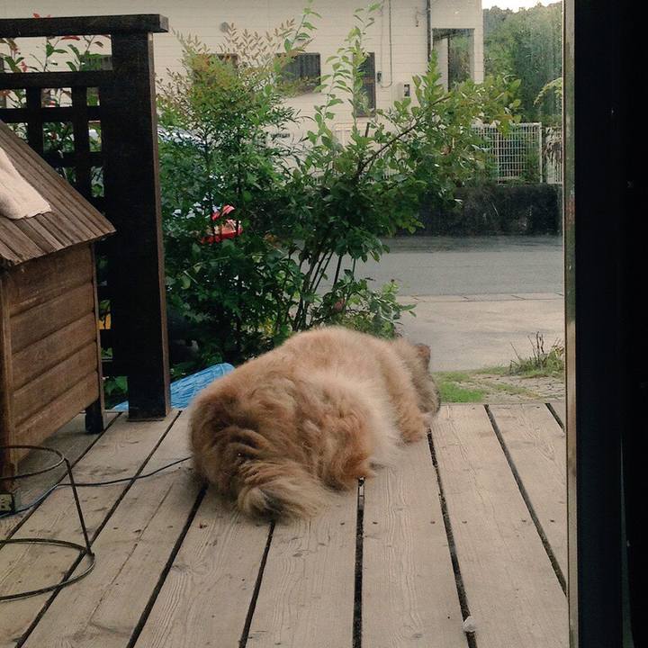 E7fddcaa 99a5 4030 85a6 af8144913d0d 1550889622198