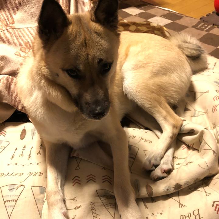 E7fe3d3a 1384 4b54 8fcc fb4e62e2e298 1551958611855